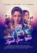 Ингрид едет на Запад / Ingrid Goes West