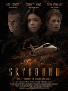 Зависшие в воздухе / Skybound