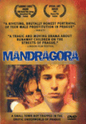 Мандрагора    / Mandragora