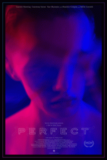 Идеальный / Perfect