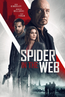 Старые шпионские игры / Spider in the Web